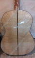 Guitarra maple brillante foto2